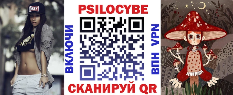 Купить  Грозный  Псилоцибиновые грибы Cubensis 